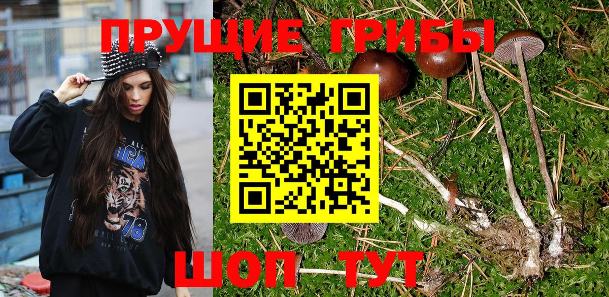 Галлюциногенные грибы Psilocybine cubensis Ивантеевка